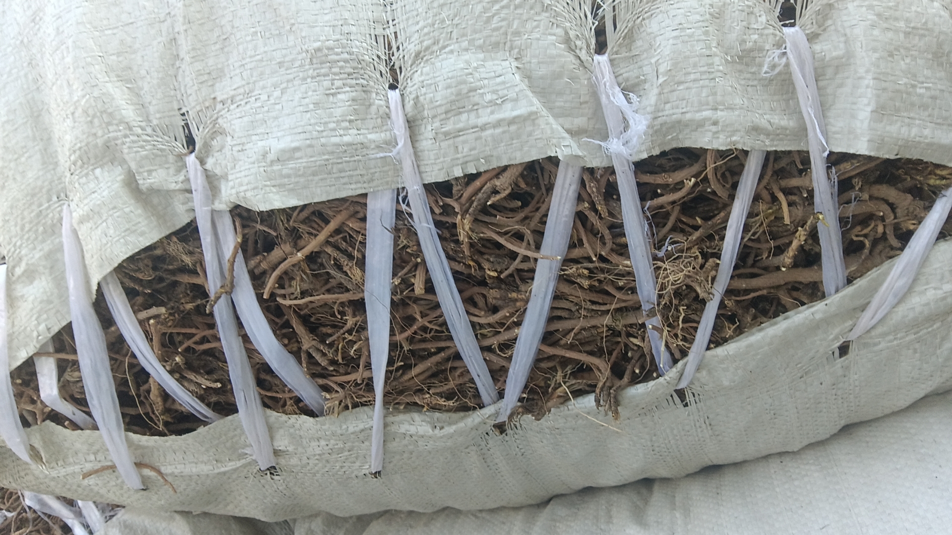 北柴胡煎煮过程图