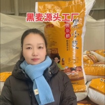 色选黑小麦颗粒饱满，2024年新黑小麦，水分10个点