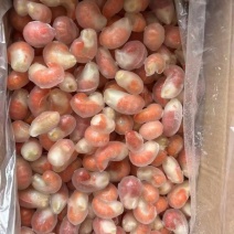 家庭装单冻龙虾尾4.5斤，三级原料加工，厂家直供，厂家批发。
