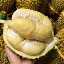 好货源榴莲