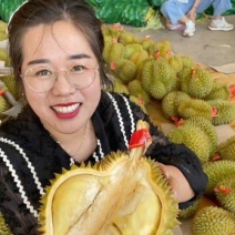 金枕榴莲产地直销，一手批发货源，A果保5房，坏果包赔