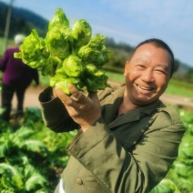 有需要儿菜的老板，欢迎在基地来购买
