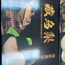 高山藏乌梨口感脆甜多汁。清脆爽口。含糖量高。高档水果。