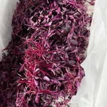 火红苗，西餐摆盘