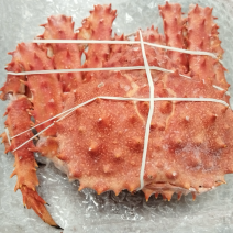 智利熟冻帝王蟹，新货日期，饱满度高价格超低