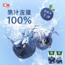 【汇源有提手年货礼盒】125ml*15盒果汁100%蛇年