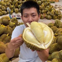 金枕榴莲产地直销，一手货源批发，坏果包赔，货到付款