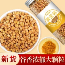 黄苦荞茶特级苦荞茶正宗大麦茶特级一等品麦子苦荞茶浓香型干
