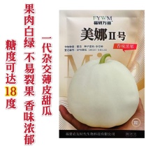 美娜2号甜瓜种子薄皮白色甜瓜种籽果肉白绿不易裂果特甜甜瓜