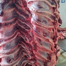 国产鲜牛肉，剔骨全牛肉，纯干无水清真屠宰，现杀现发