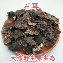 中药材野生石耳、石木耳、地耳、石壁花天然原生态货真价实