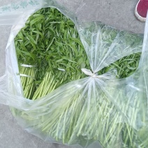 藜蒿