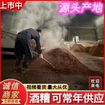 【厂家常年供应】酒糟可视频看货源头发货高蛋白牛羊料