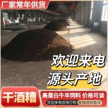 【酒糟】源头厂家常年有货量大价格可谈欢迎咨询洽谈