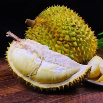 金枕榴莲产地直销，一手货源批发，坏果包赔，货到付款