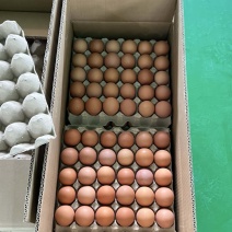 新鲜红壳鸡蛋，大厂精品货，鸡场现捡现发的，批量稳定供应