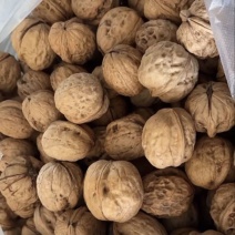 高品质核桃