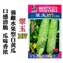 翠玉107白黄瓜种子强雌型水果白黄瓜种子口感清脆瓜味香浓