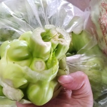 榨菜头