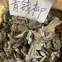 青钱柳1公斤青钱柳原叶茶青钱柳茶清金钱柳茶叶