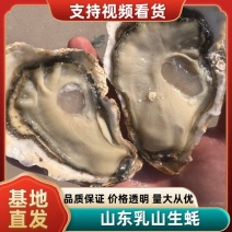 【山东精品】乳山生蚝肉厚饱满，现货量大，新鲜产地自有货源