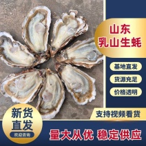 乳山生蚝零售批发，全国发货