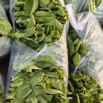 精品红菜苔，白菜苔