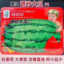 懒汉硒砂瓜种子石头西瓜种子巨型西瓜甜脆多汁大果型西瓜