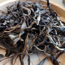 古树普洱茶