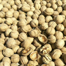 新疆干果核桃为主