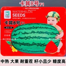 卡其8号大号西瓜种子抗病耐重茬小籽高糖西瓜特大椭圆形西瓜