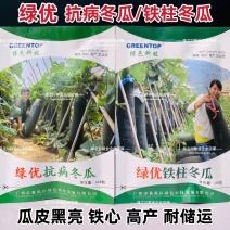 广东绿优铁柱冬瓜种子黑皮铁心冬瓜种籽南方高产耐热抗病黑亮