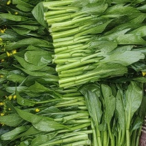 菜心
