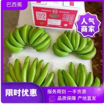 源头一手香蕉批发，精品一级蕉，二级蕉产地货源，品质有保障