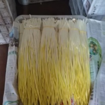 山东济宁蒜黄基地直供