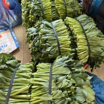 菜心