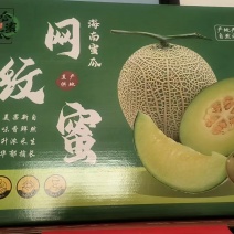 海南哈密瓜小蜜皇帝蜜奶香蜜网纹脆甜网纹牛三