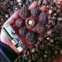【黑面香菇】干香菇香味足原产地精品冬菇黑面香菇干香菇