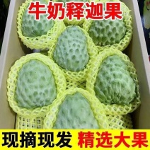 牛奶凤梨释迦果新鲜水果佛头果当季释迦摩尼果番荔枝大果整箱