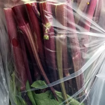 红油菜