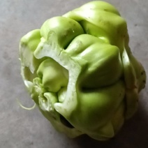 榨菜