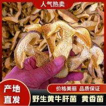 【美味牛肝菌】野生菌黄牛肝菌白牛肝菌原产地干货量大批发