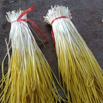 山东蒜黄头茬蒜黄现割现装车电商货市场均可支持代发货