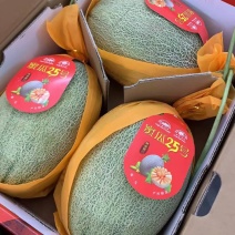 哈密瓜🍈