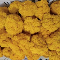 新鲜的金耳菌，现货价格优惠。欢迎联系