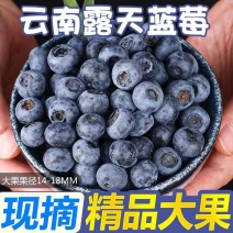 云南蓝莓一件代发/淘宝/拼多多/京东/直播/全平台对接