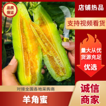 精品羊角蜜甜瓜山东潍坊羊角蜜种植基地供应电商、批发