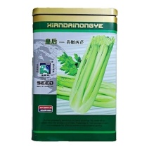 法国皇后黄嫩大头种子四季播种子基地种植品种专用芹菜高产耐