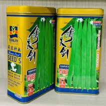 倚天剑新三扁架豆种子绿荚芸豆种籽春秋早熟抗病高产宽扁豆角
