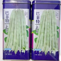 宏雨大白豆角种子巴菲特高产豆角种籽白荚新鲜长农家四季豆蔬